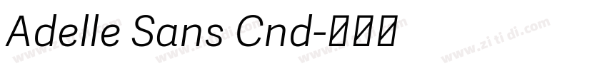 Adelle Sans Cnd字体转换